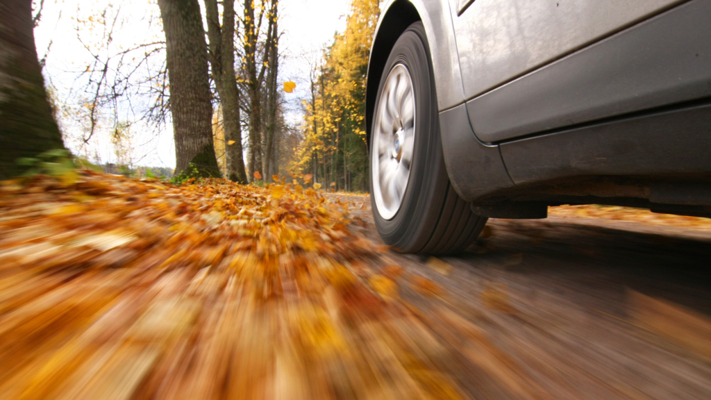 driving in autumn